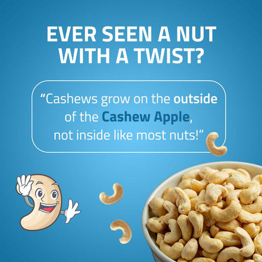 Truthful Treats Roasted Cashews – Unique Crunchy Flavor with a Twist in Every Bite