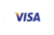 Visa icon